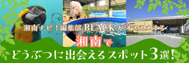 湘南ナビ！編集部BLACKが選ぶ　どうぶつに出会えるスポット3選